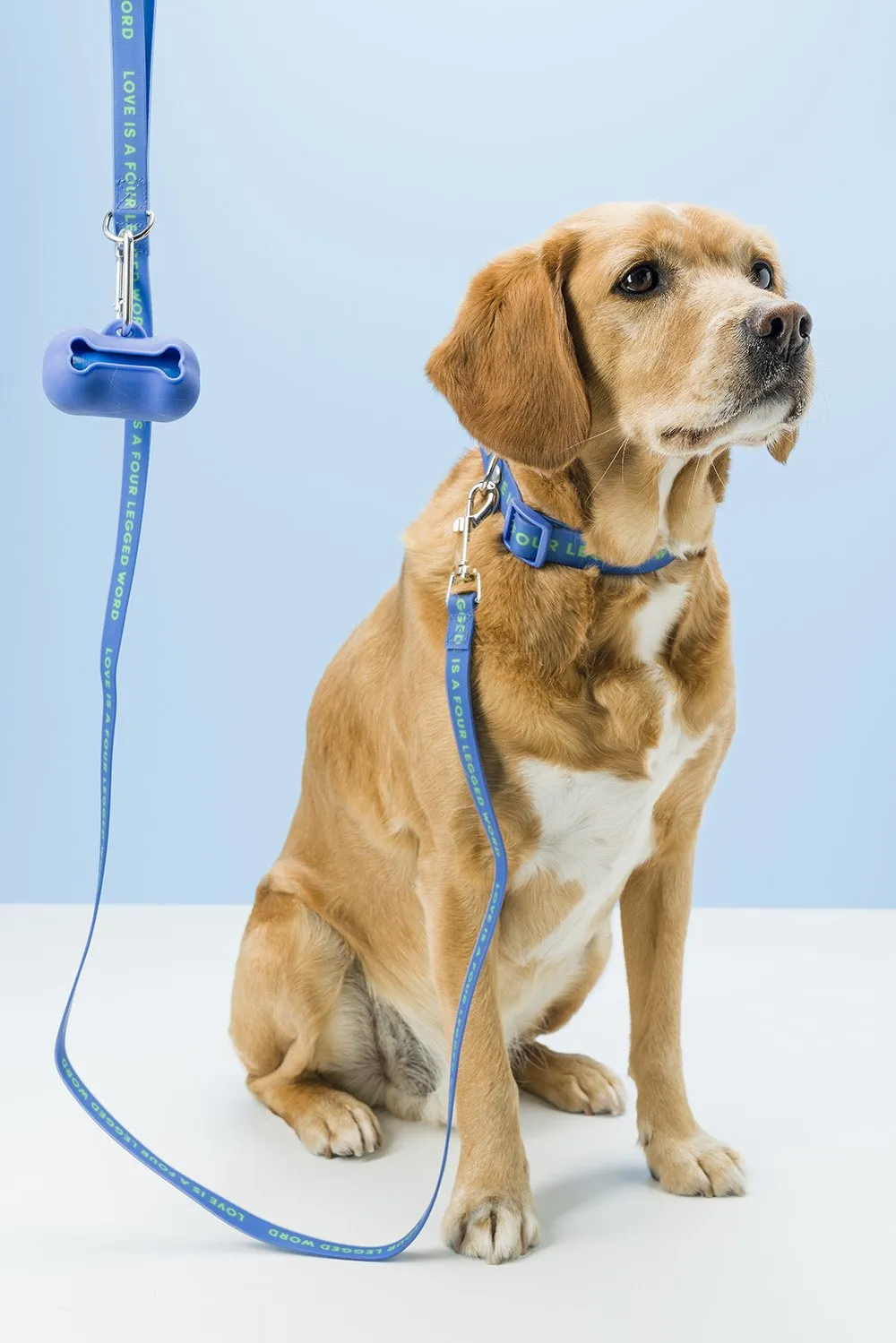 Silicone Poo Bag by Gummi Pets